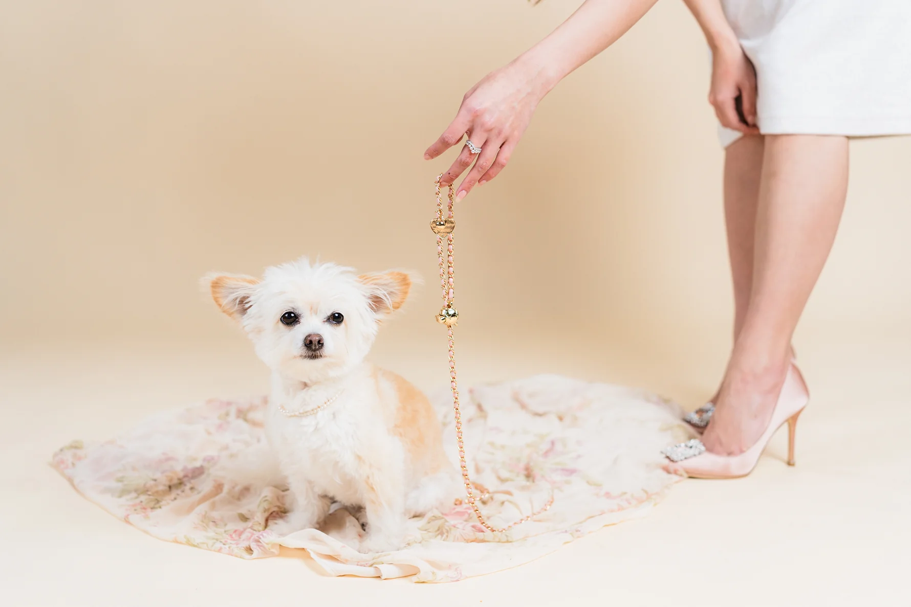 Luxurious Custom Dog Leads The World s Priciest Picks Mon Petit Amour Manolo