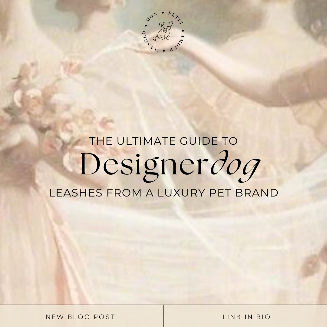 The Ultimate Guide to Designer Dog Leashes from a Luxury Pet Brand