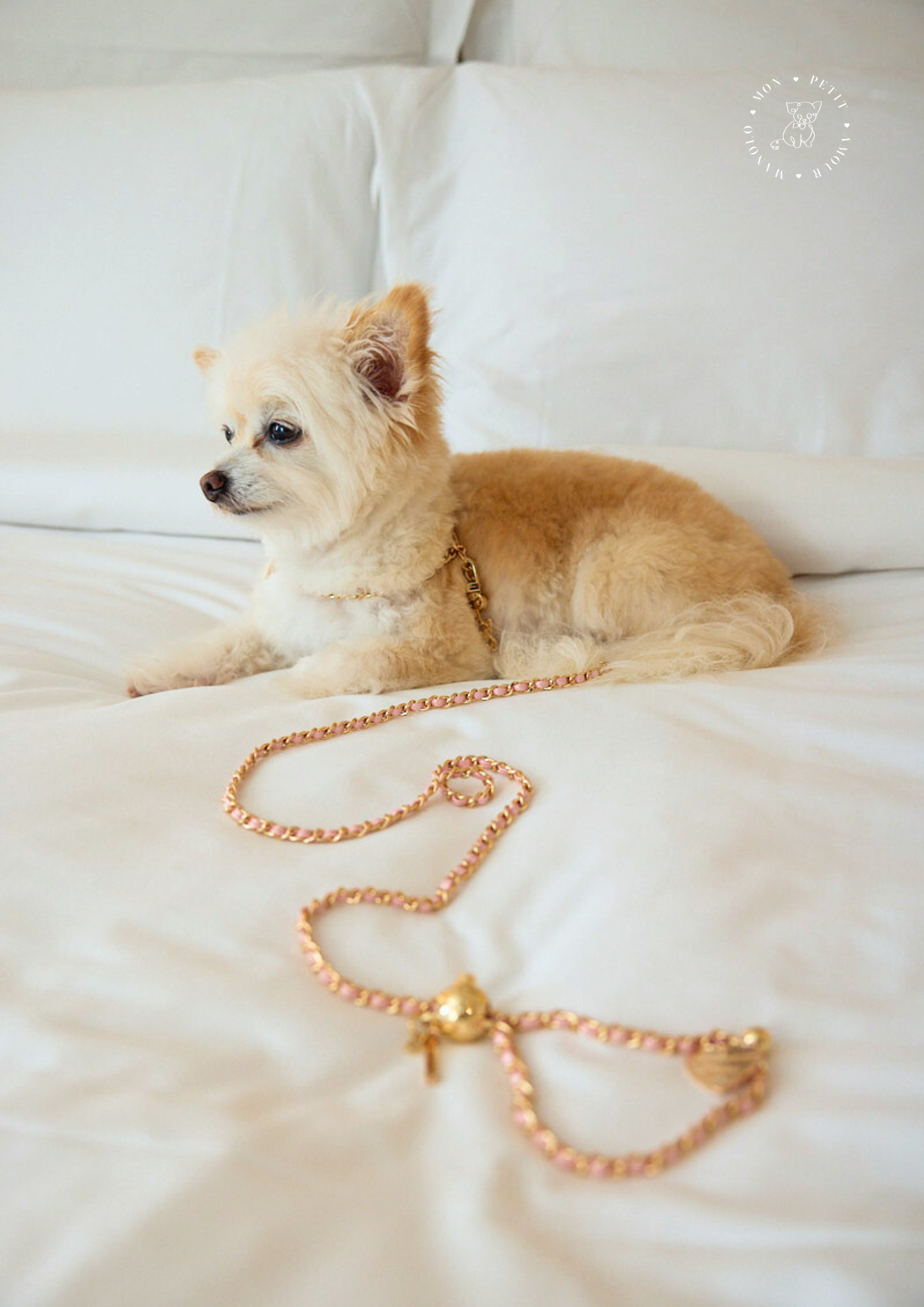 The Paris Pink Lead