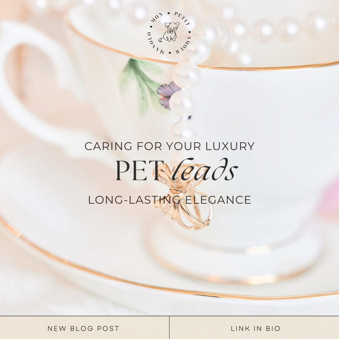 Caring for Your Luxury Pet Leads: Maintenance Tips for Long-Lasting Elegance