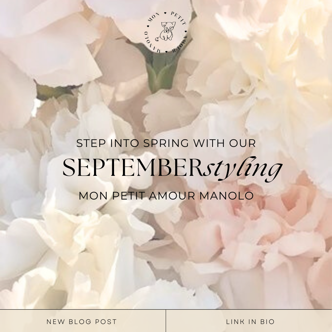 September Style: Step into Spring with Mon Petit Amour Manolo