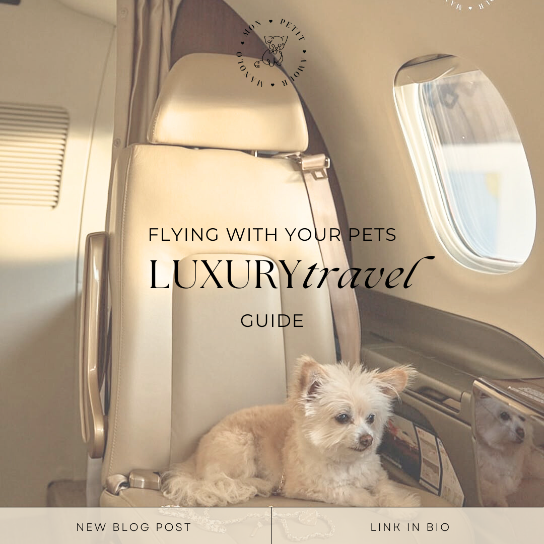 Flying with Your Pets: A Luxury Travel Guide