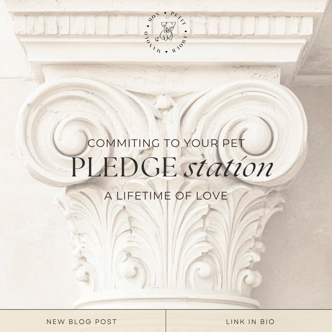 Committing to a Lifetime of Love: The Mon Petit Amour Manolo Pledge System