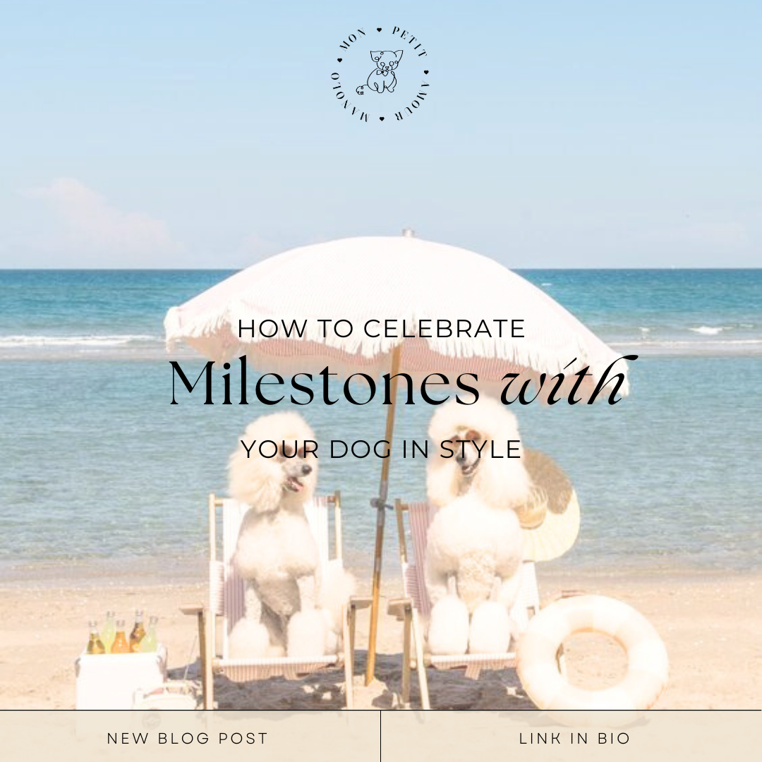 How to Celebrate Milestones with Your Dog in Style