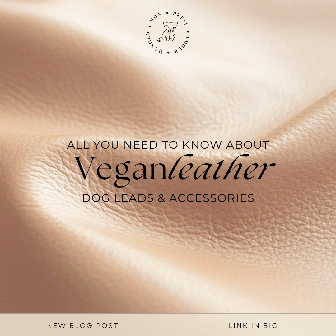 Essential Guide to Vegan Leather Dog Leads and Pet Accessories