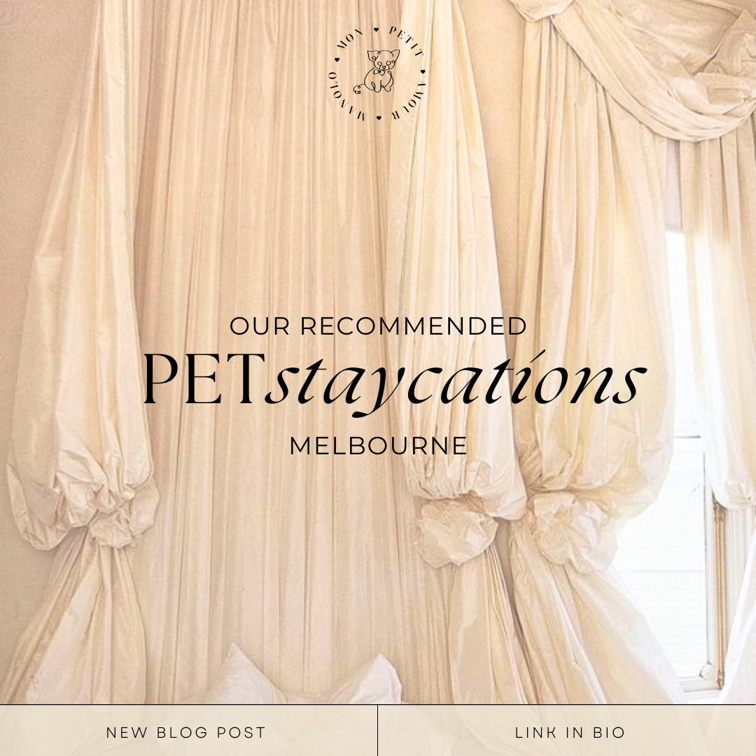 Top Pet-Friendly Staycations in Melbourne