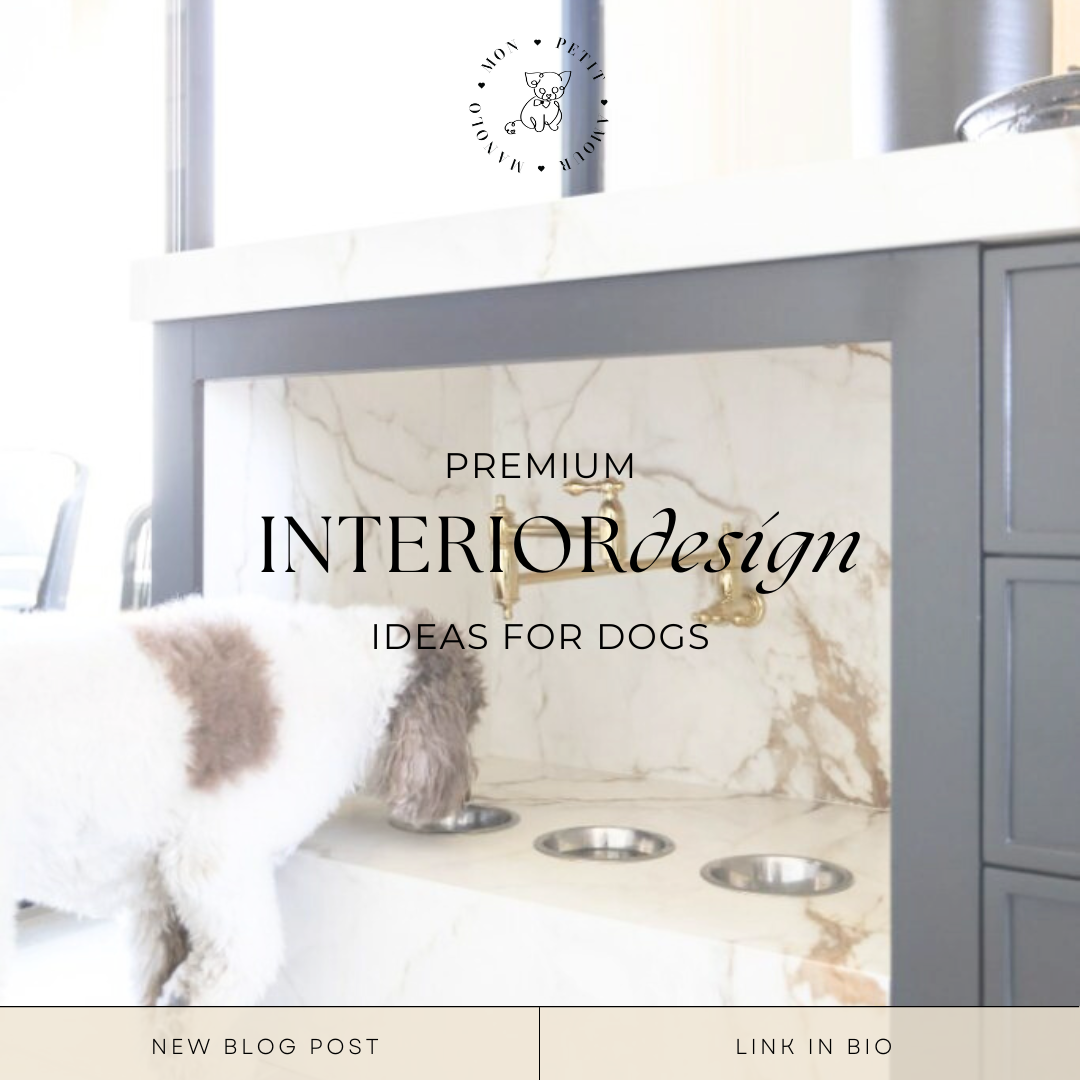 From Living Room to Luxe: Interior Design Ideas for Dog Owners